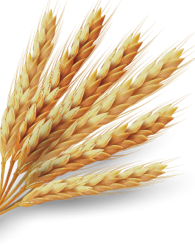 电子游戏app官网下载