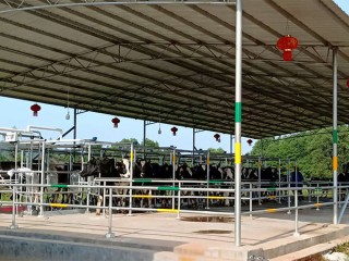 电子游戏app官网下载