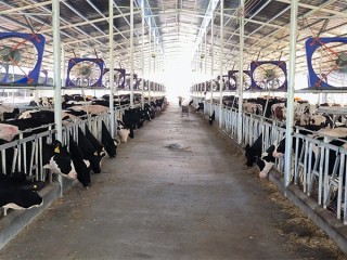 电子游戏app官网下载