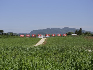 电子游戏app官网下载