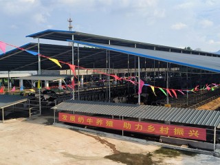 电子游戏app官网下载