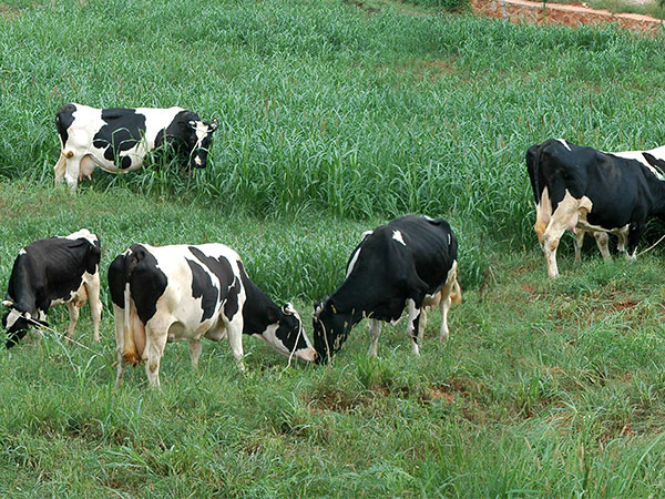 电子游戏app官网下载