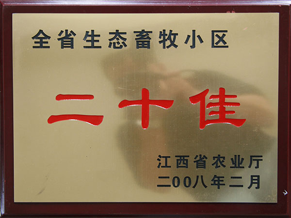 电子游戏app官网下载