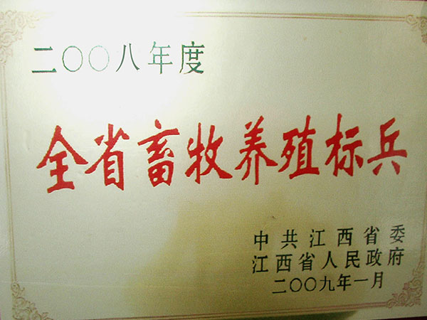 电子游戏app官网下载