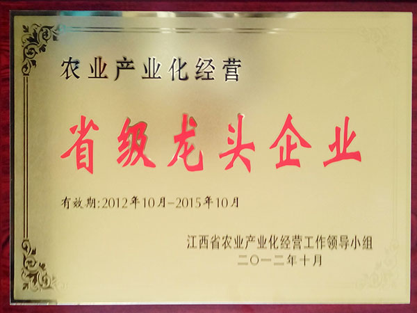 电子游戏app官网下载