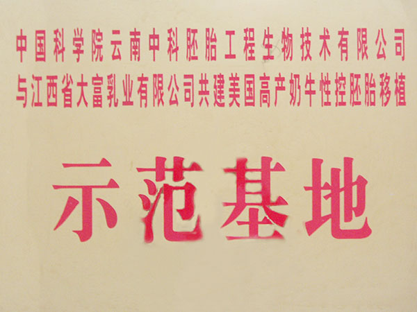 电子游戏app官网下载