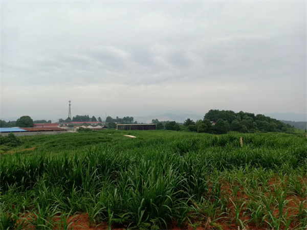 电子游戏app官网下载