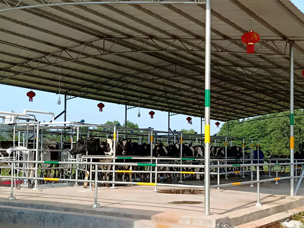 电子游戏app官网下载