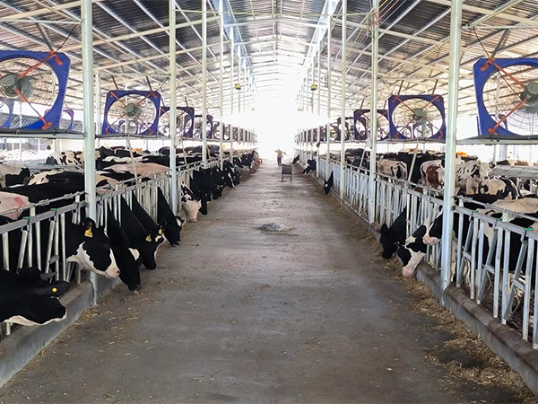 电子游戏app官网下载