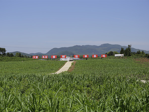 电子游戏app官网下载