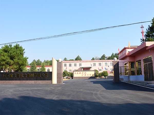 电子游戏app官网下载