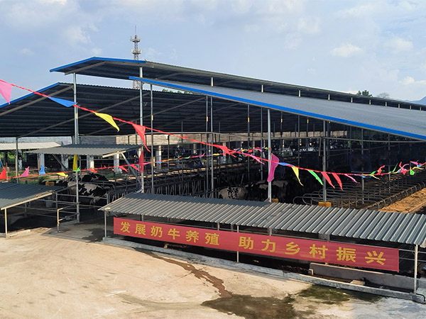 电子游戏app官网下载